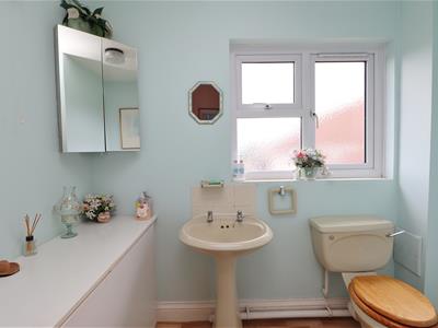 Picture 8